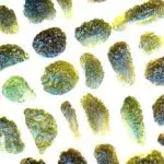 7 Crazy Moldavite Effects You’ll Probably Experience